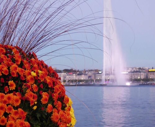 Внешний вид отеля Fraser Suites Geneva в Женеве, фото 3