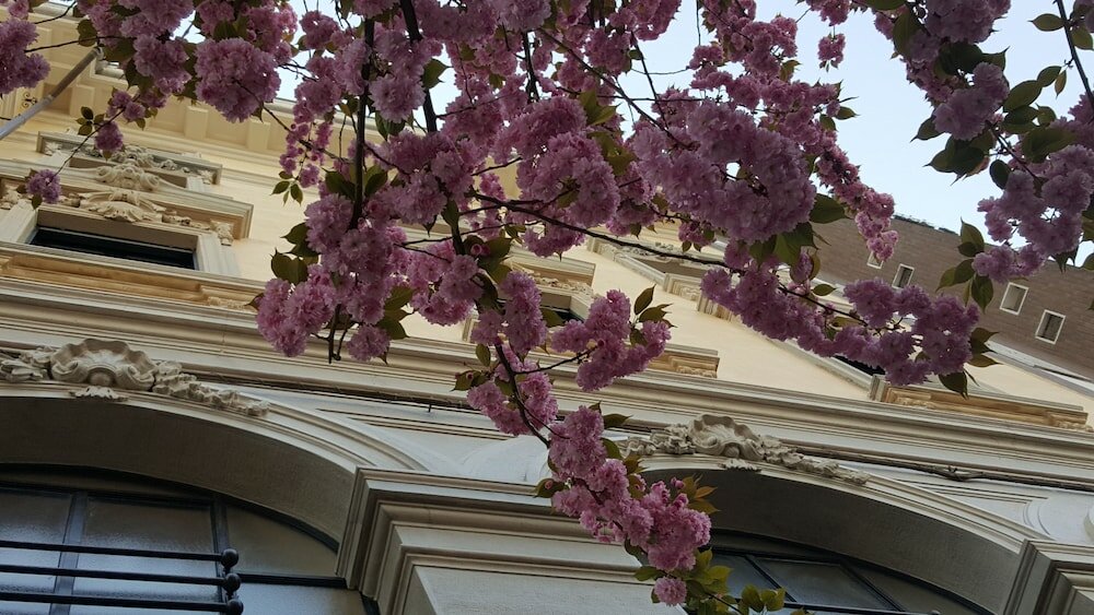 Фото Hotel La Nuova Rotaia