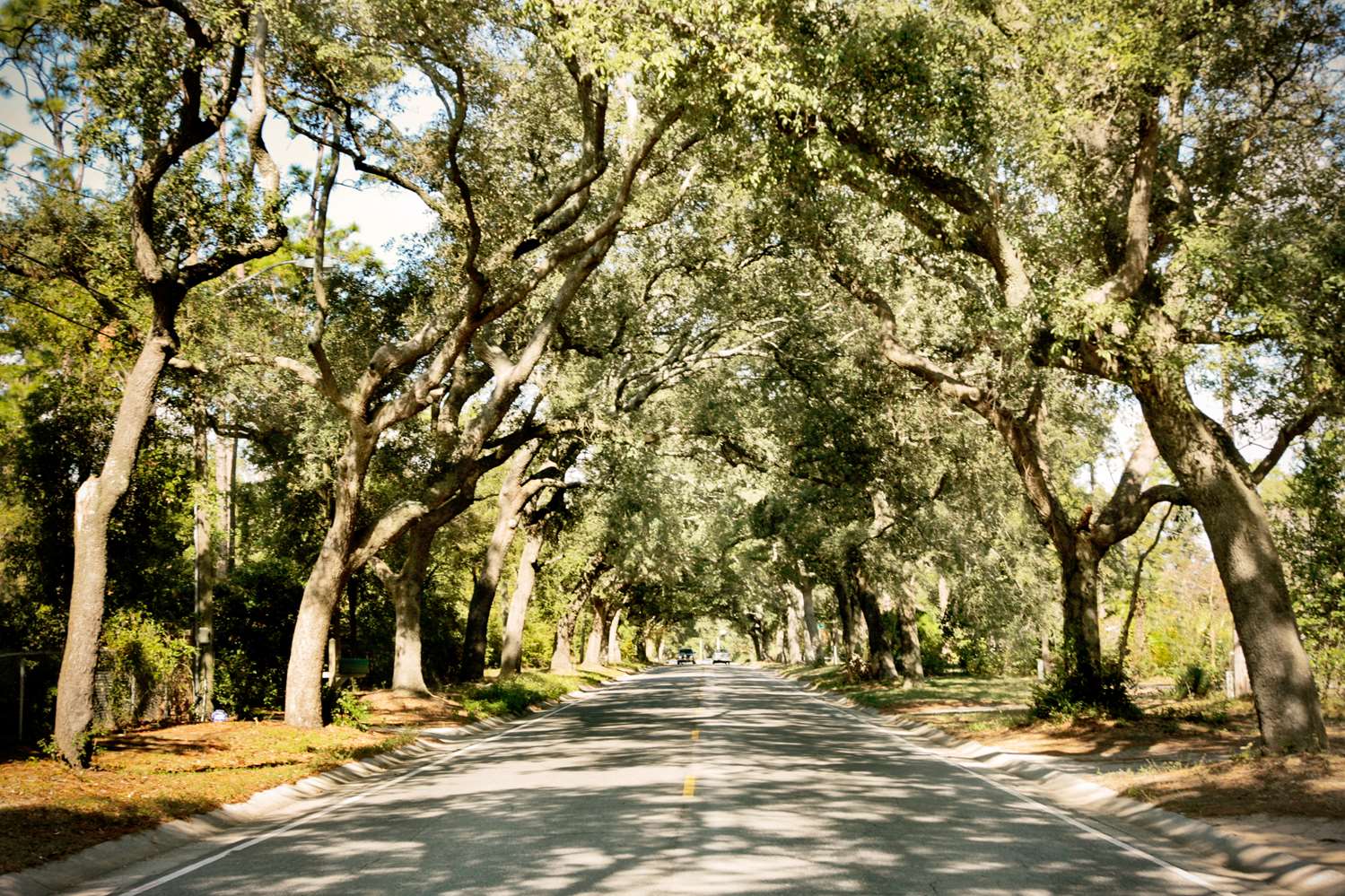 Фото Hampton Inn Pensacola-Airport