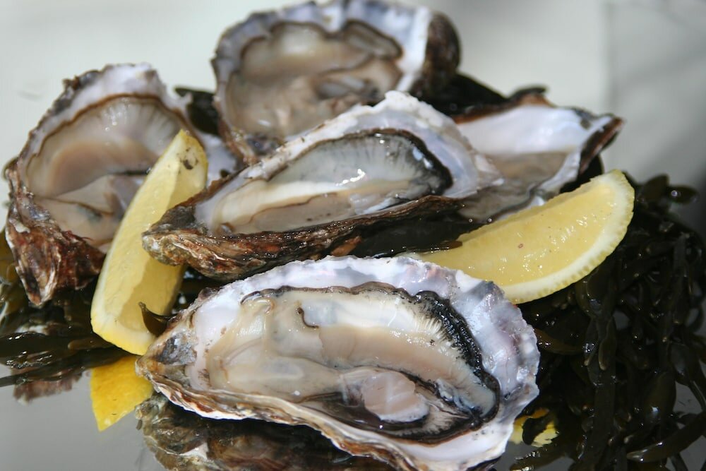 Фото Hotel Restaurant Piccard