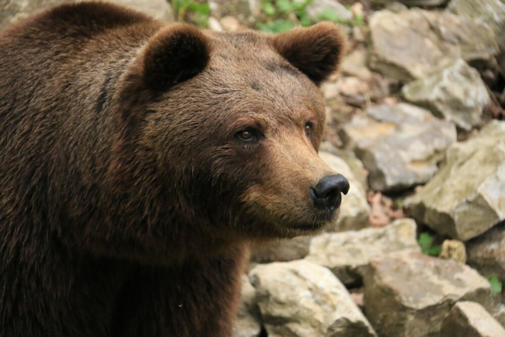 Фото Hotel Alexa