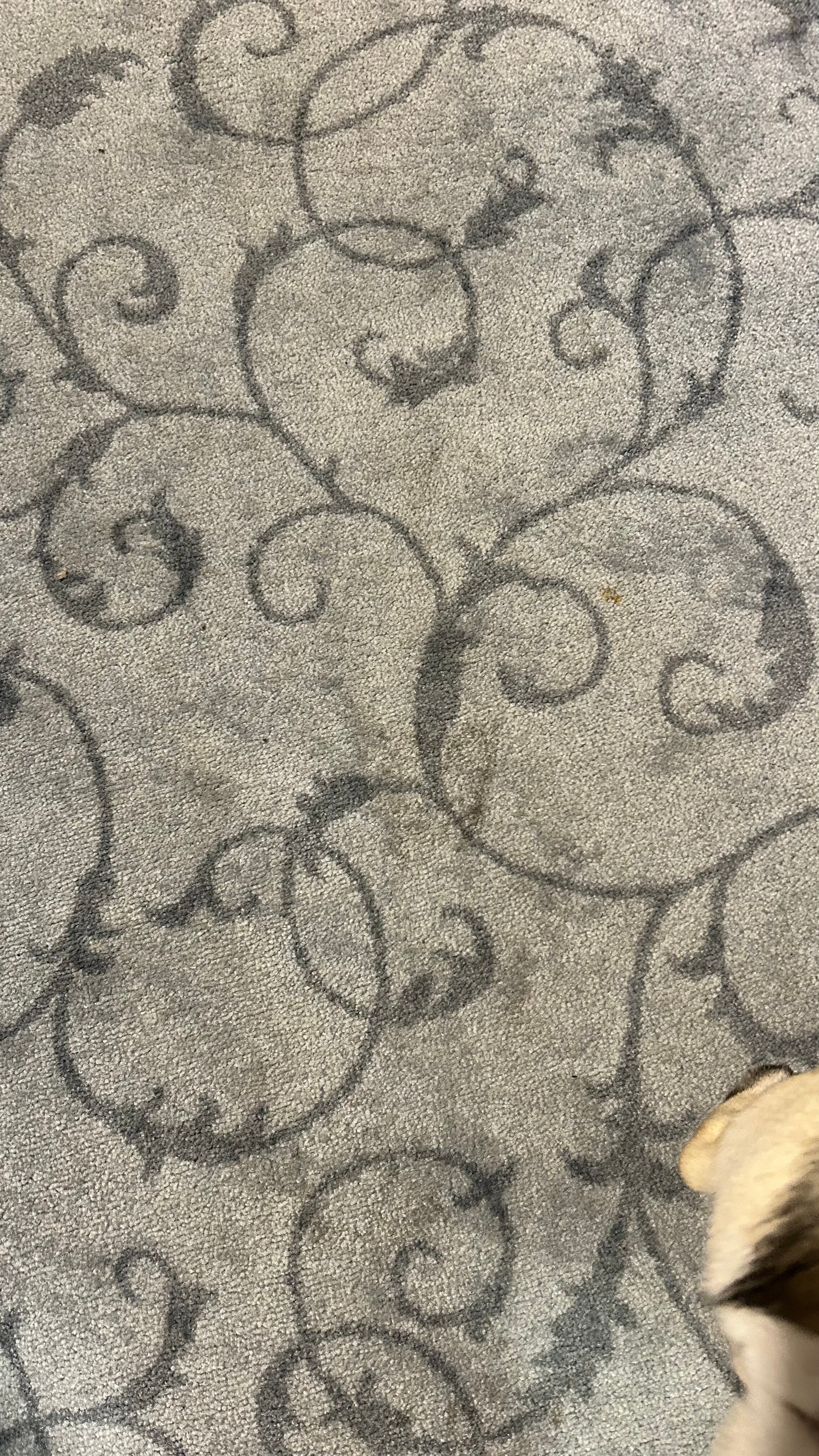 Фото Русские Сезоны Комфорт Отель Поречье