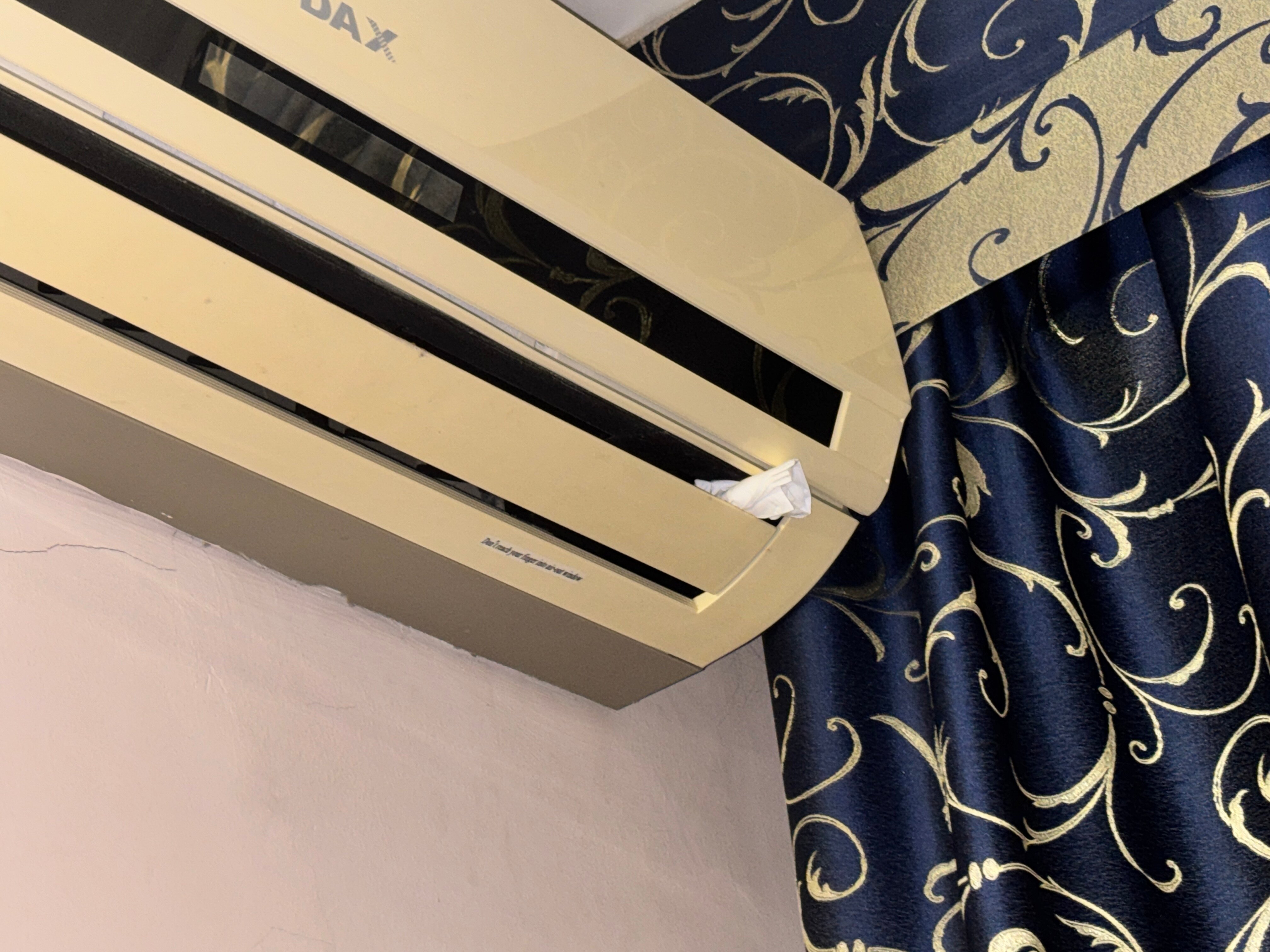 Фото Максимус