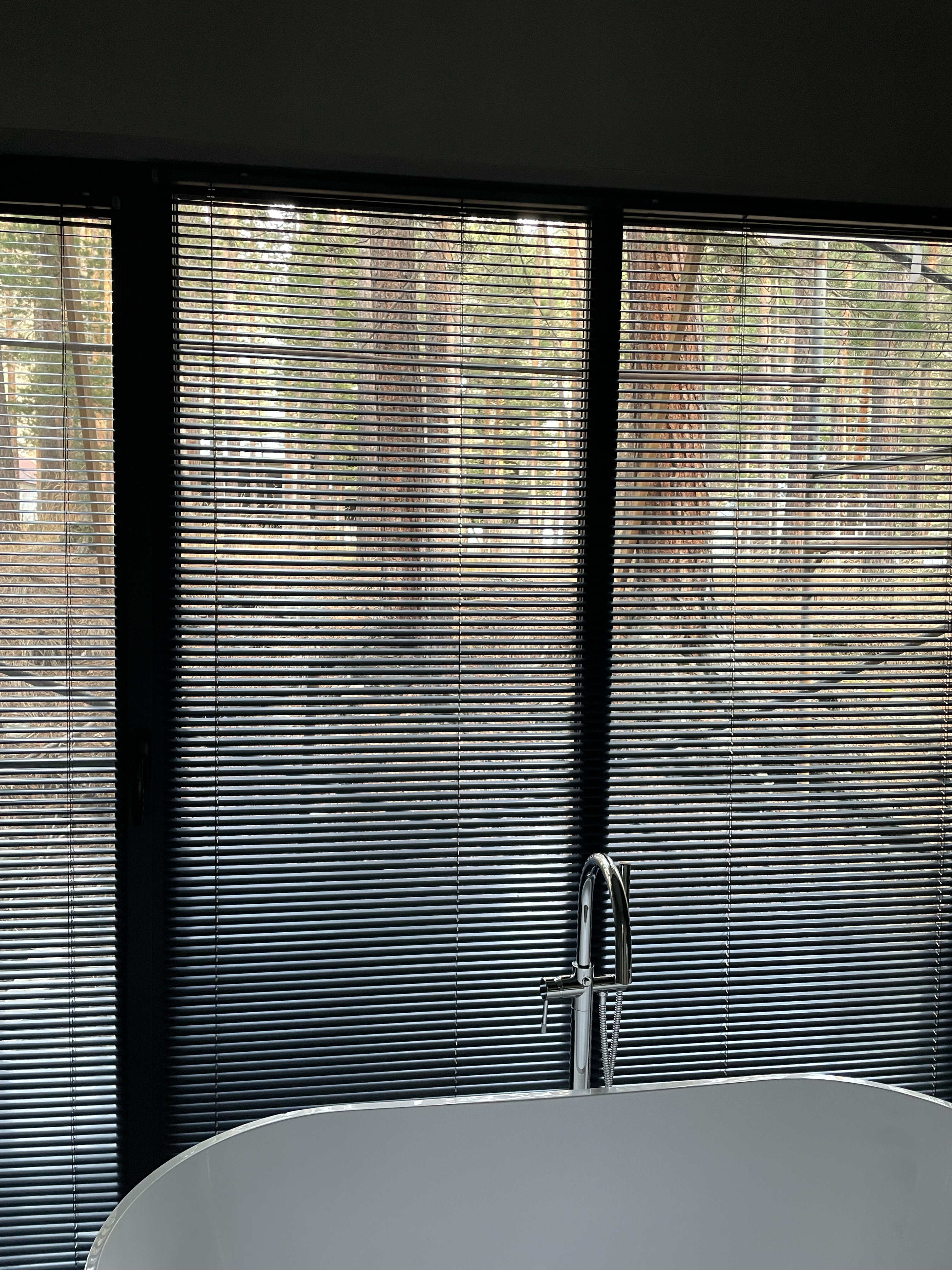 Фото 103888743761