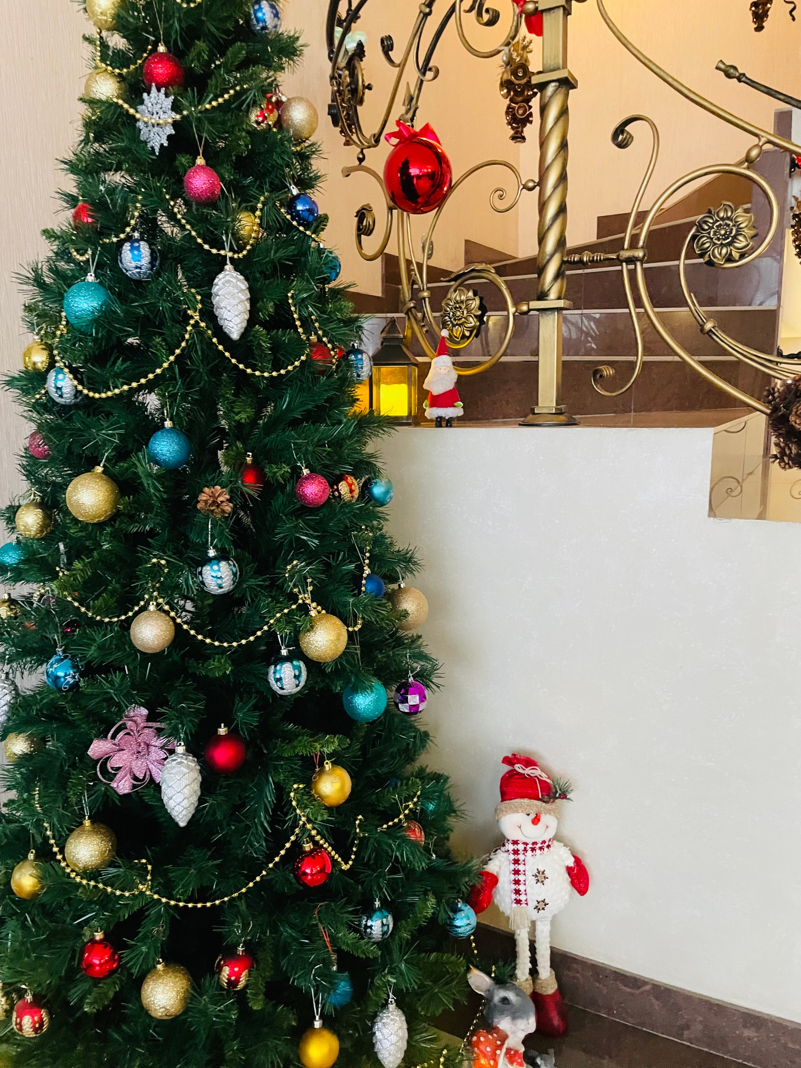 Фото Коттедж на Зелёном