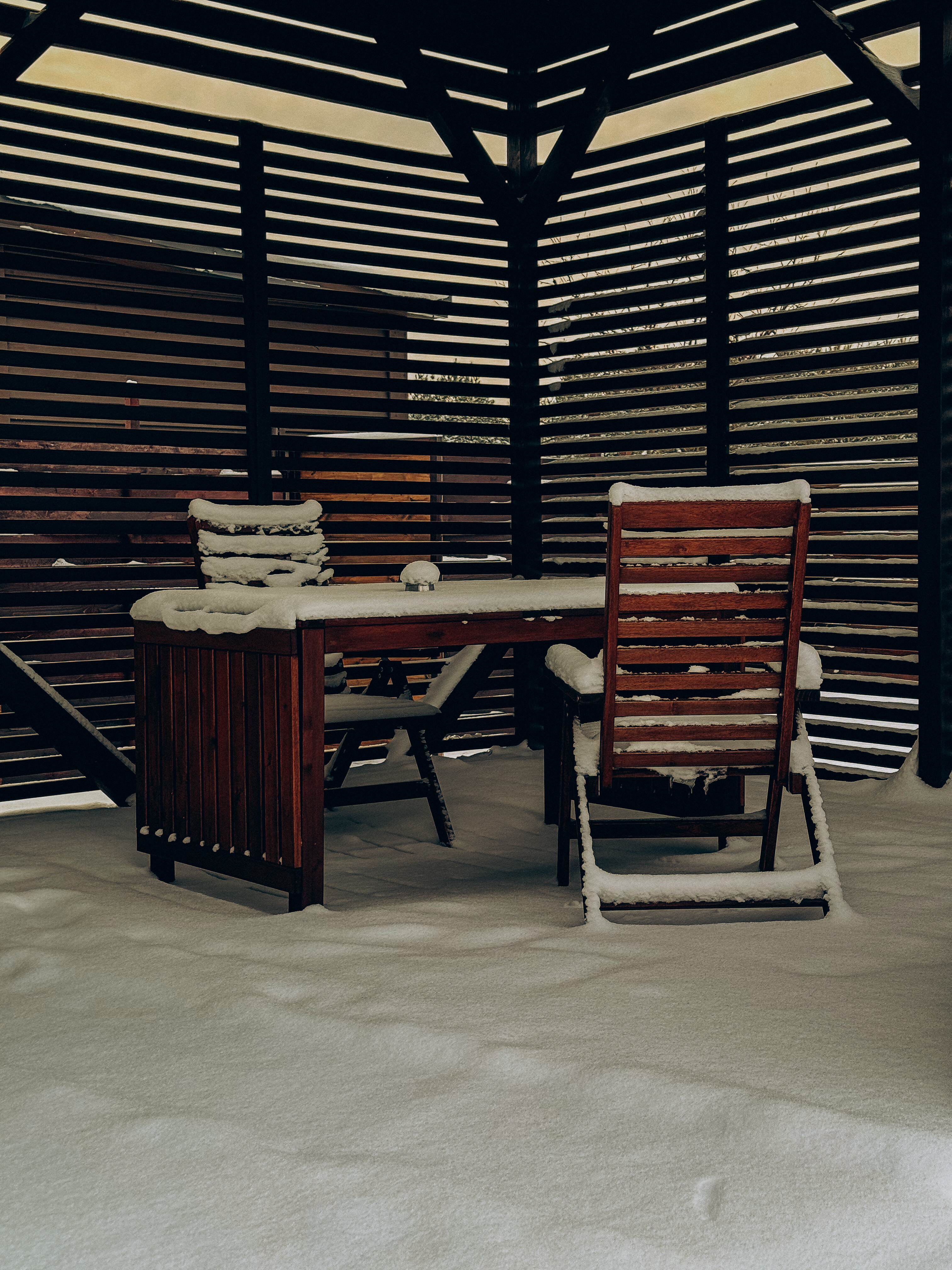 Фото Дубовая роща