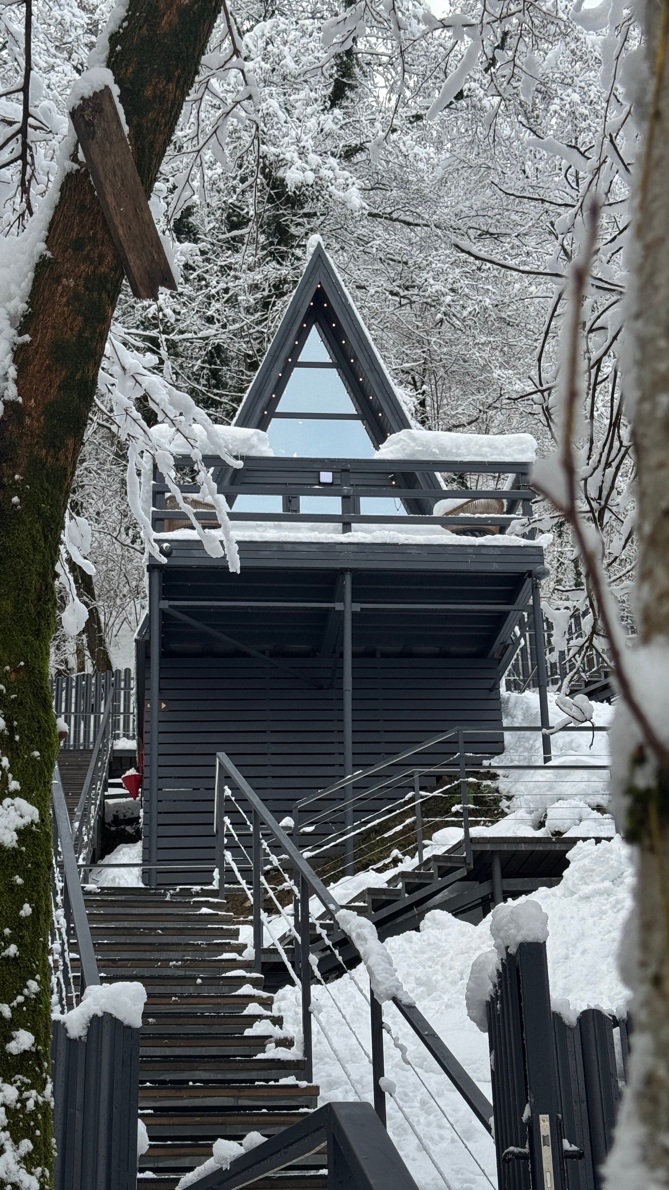 Фото Анвин Фишт