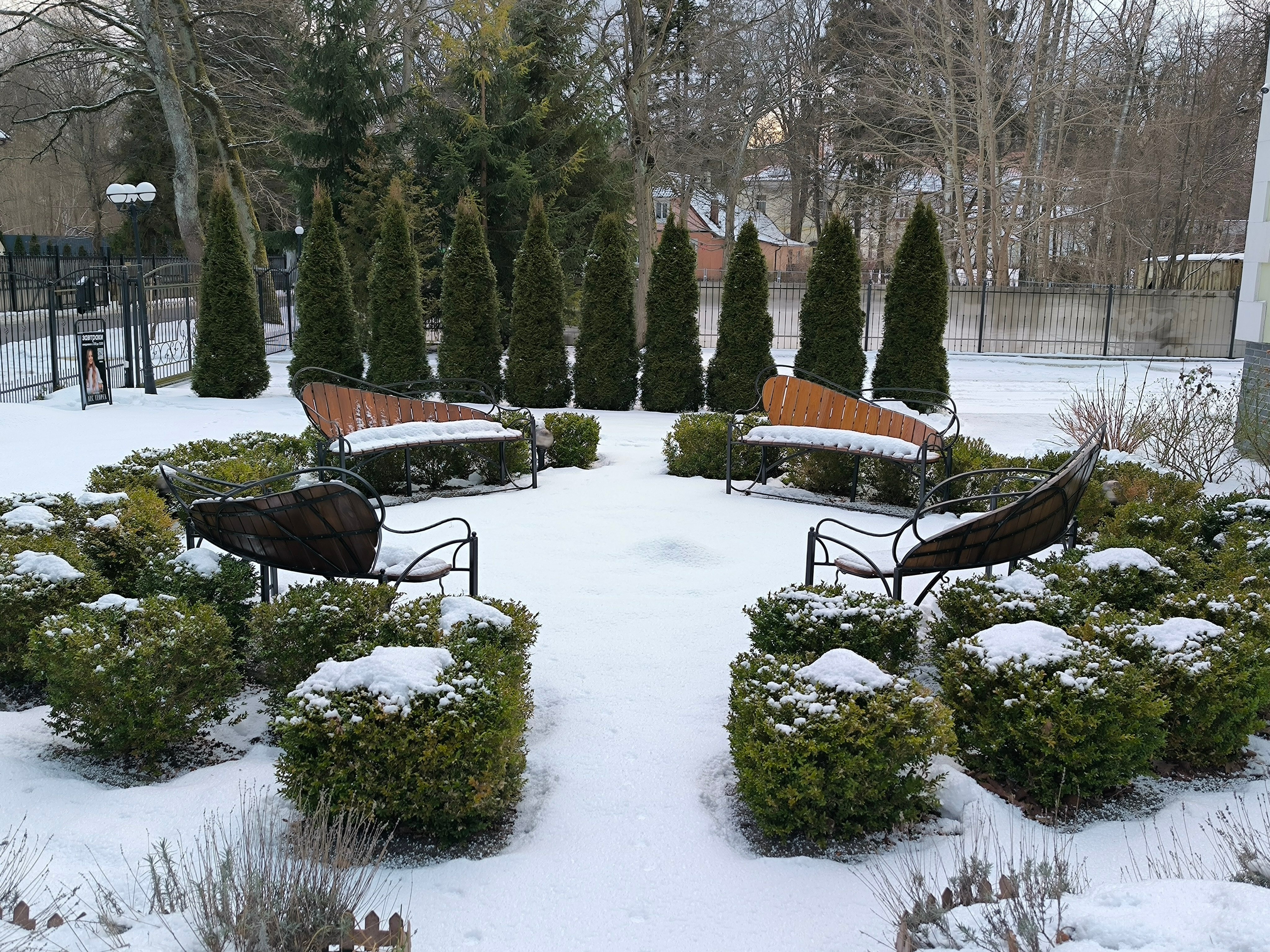 Фото Лес Георга