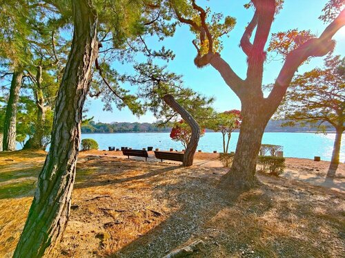 Внешний вид отеля Heiwadai Hotel Otemon в Фукуоке, фото 5