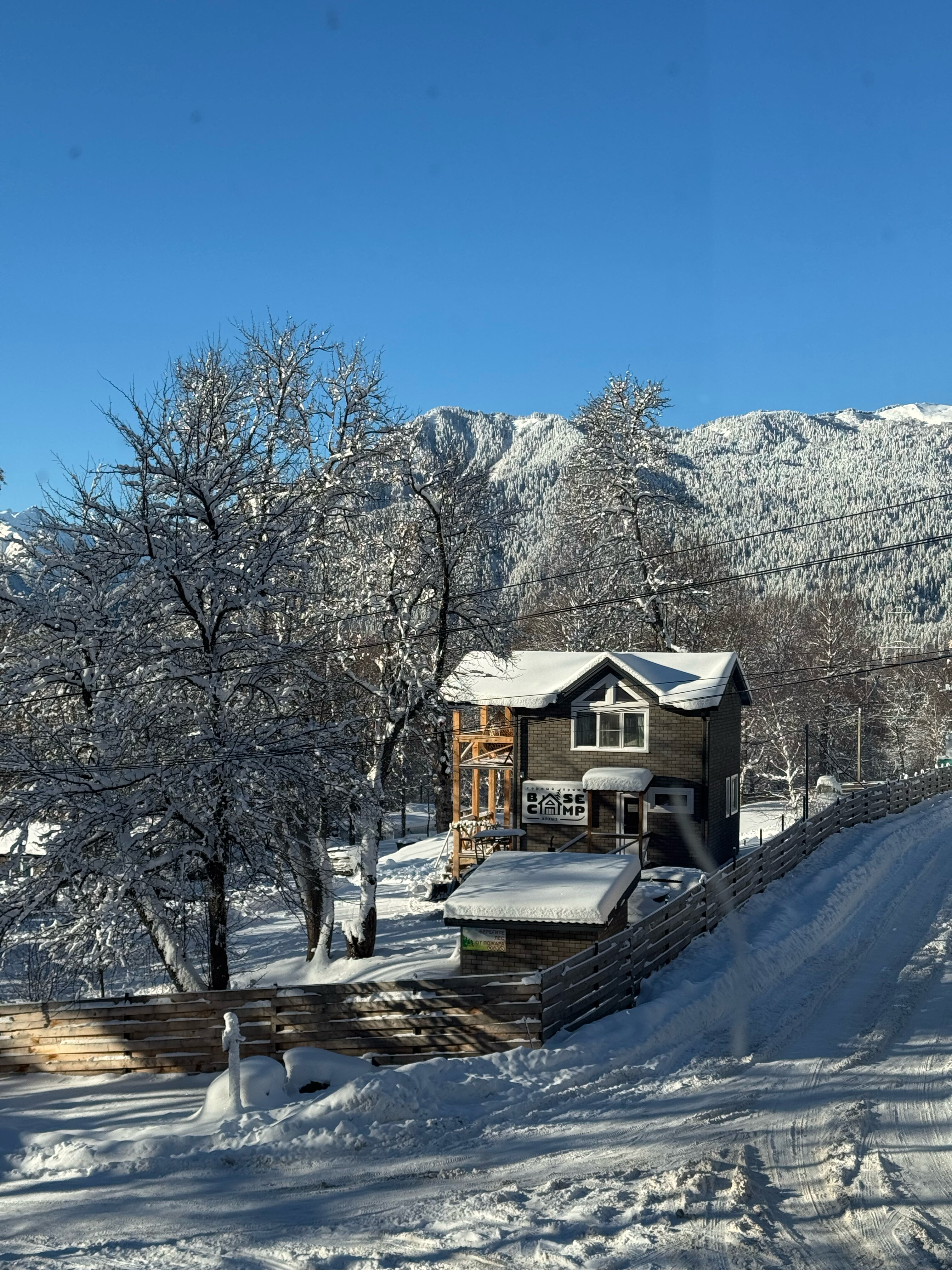 Фото Алиса