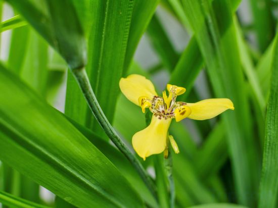 Фото Chic Stay Hana