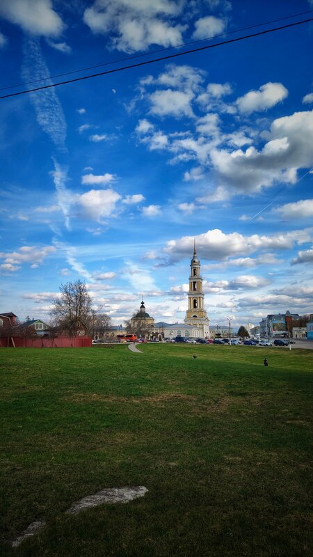 Подсолнухи — фото 44