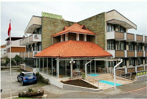 Гостиница Maslina Otel в Эдремите