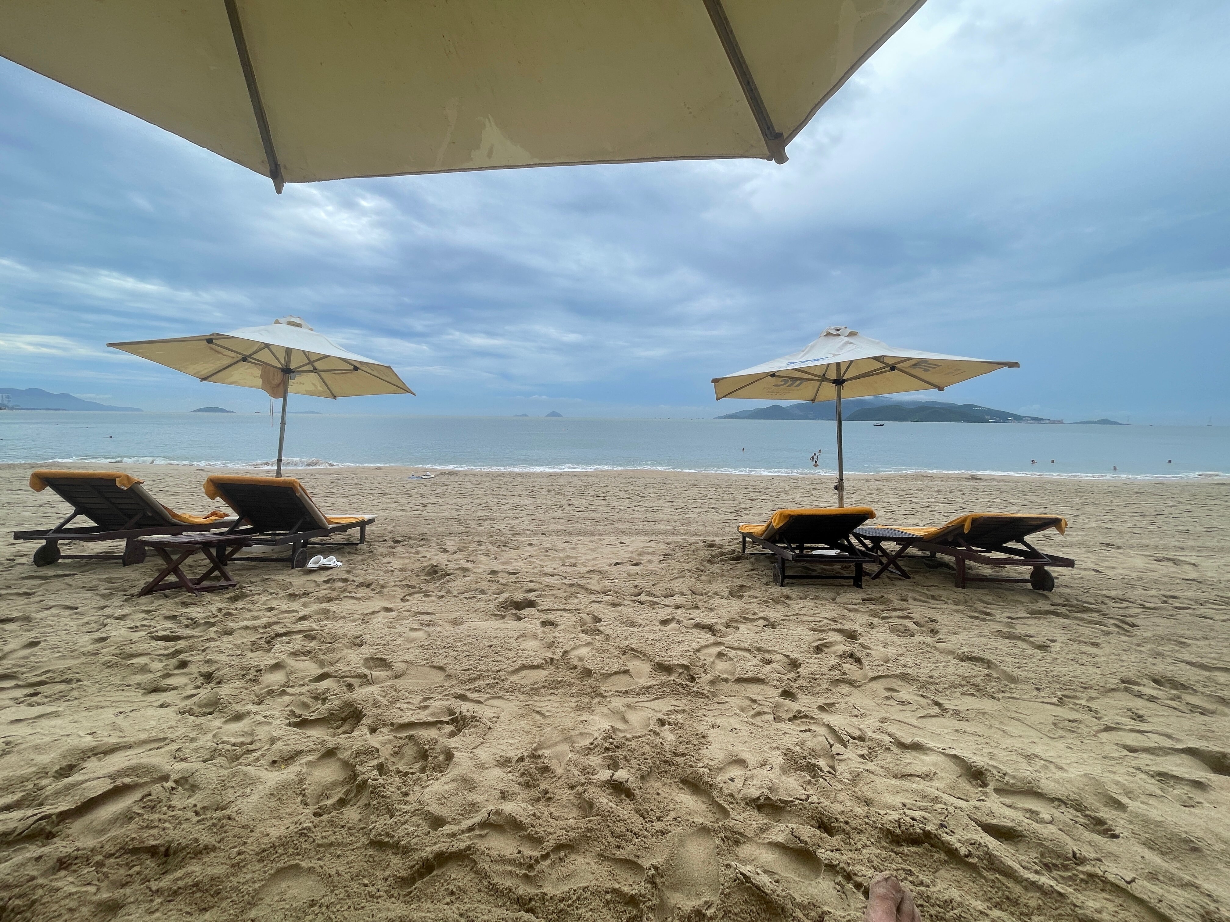 Фото Ttc Hotel Premium Michelia