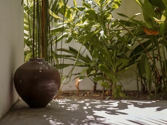 Фото Manta Reserve