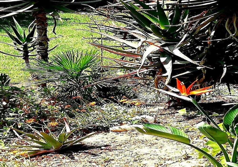 Фото De Wingerd Wijnland Lodge