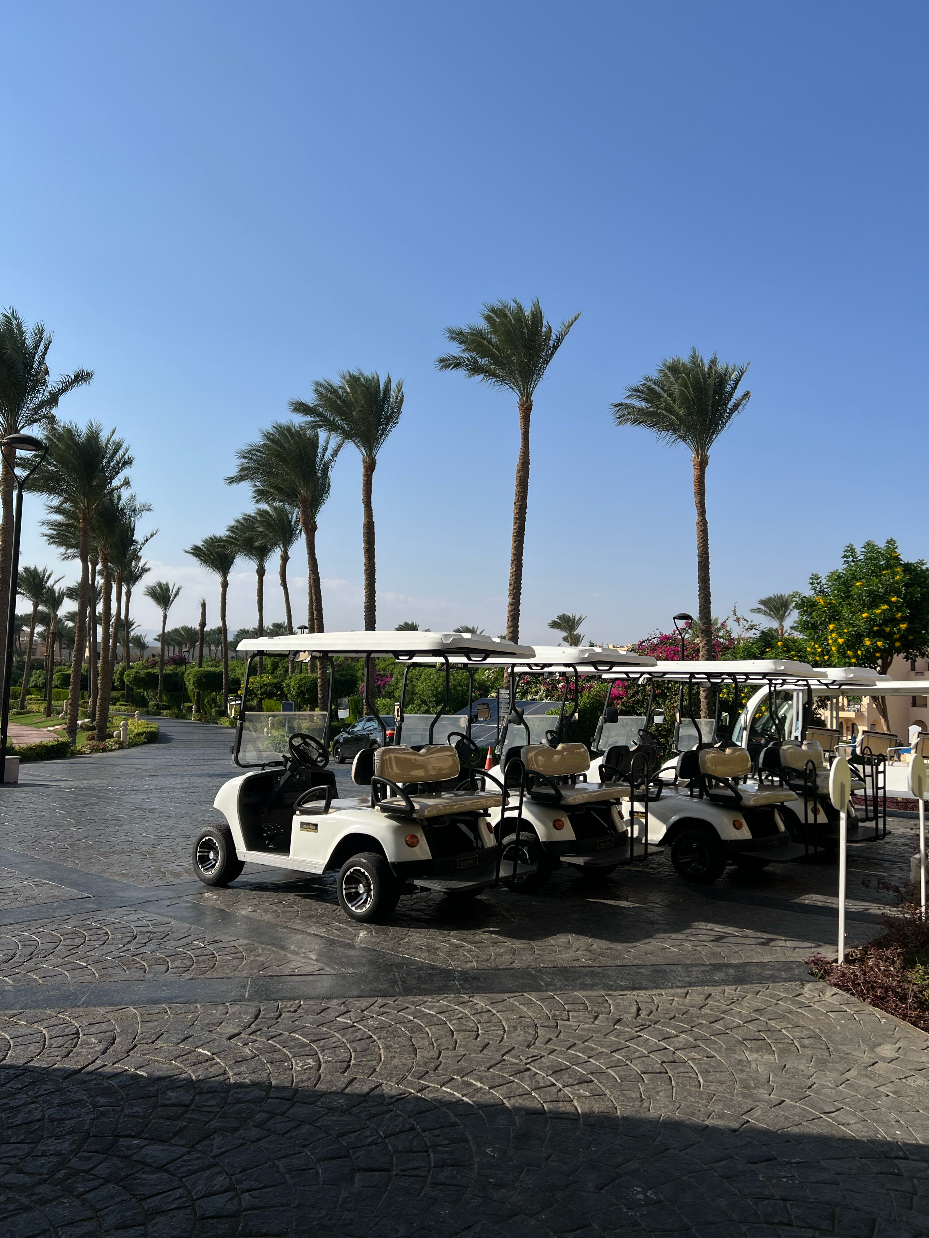 Фото Cleopatra Luxury Resort Sharm- Adults Only