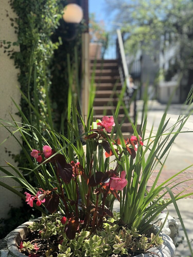 Фото The Presidents' Quarters Inn