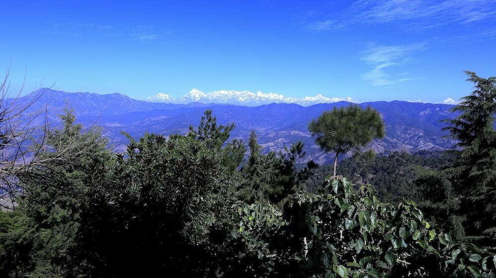 Фото Woodsvilla Resort