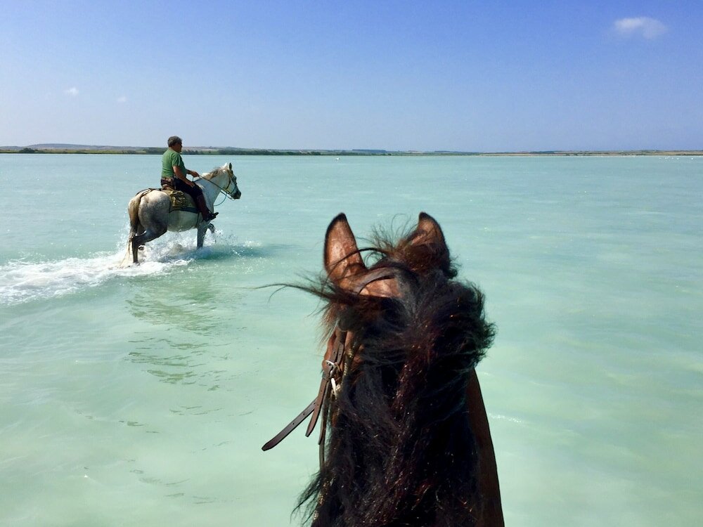 Фото Horse Country Resort Congress & SPA