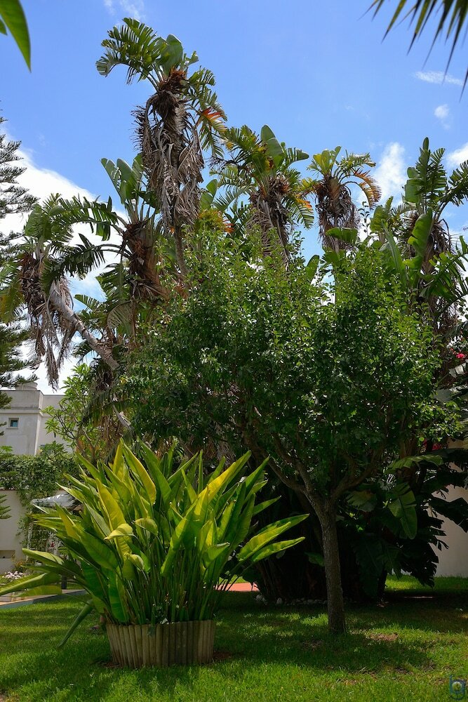 Фото Mondello Resort