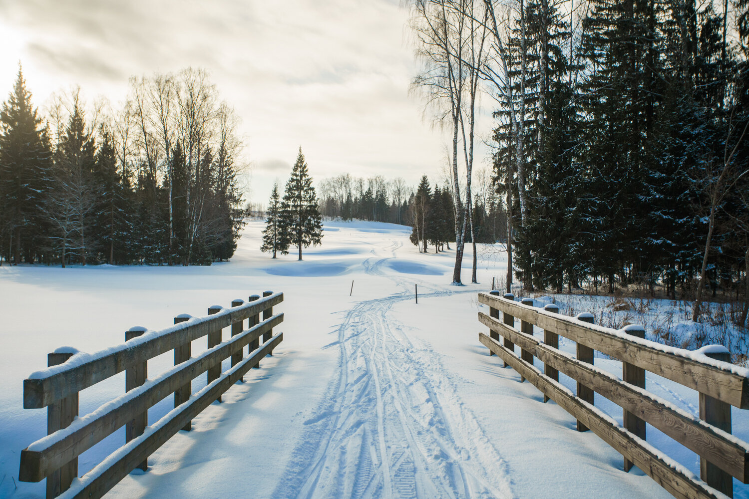 Фото Форест Хиллс