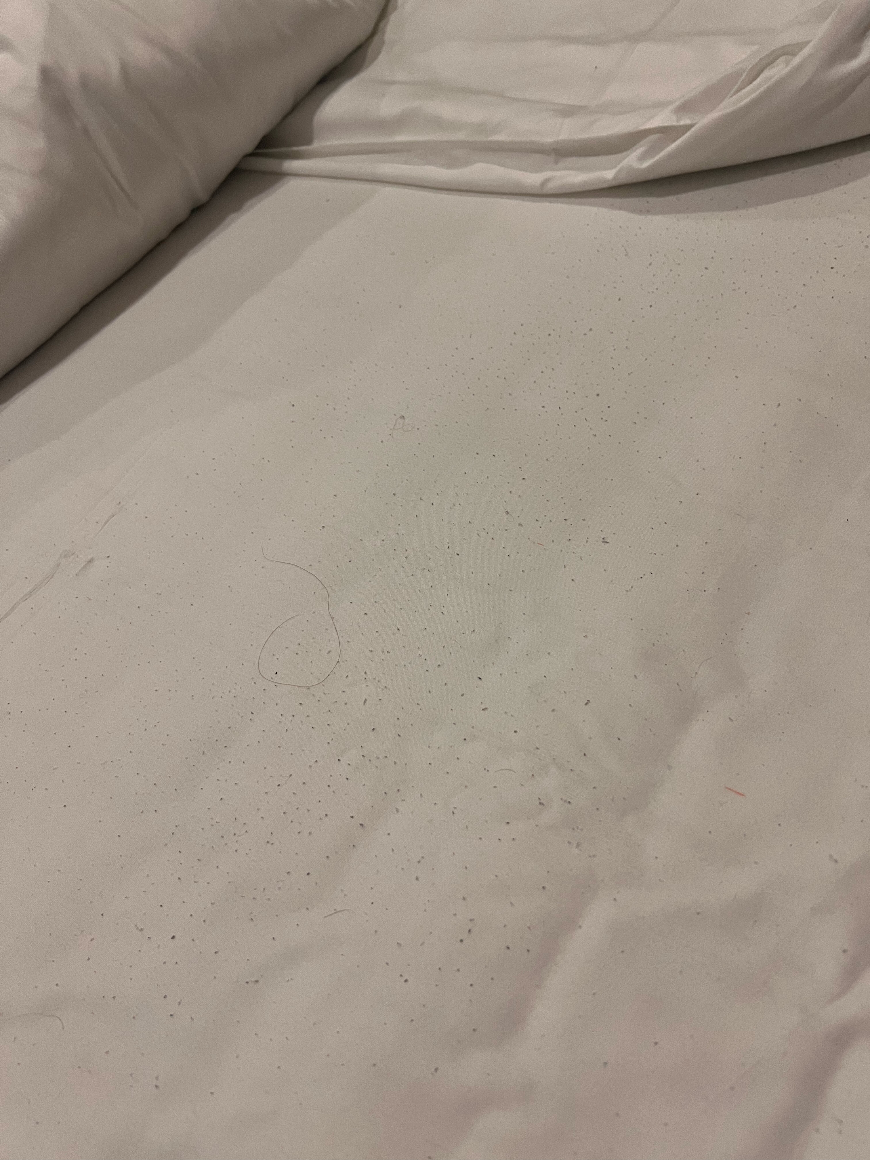 Фото Hotel Liberty Theatre