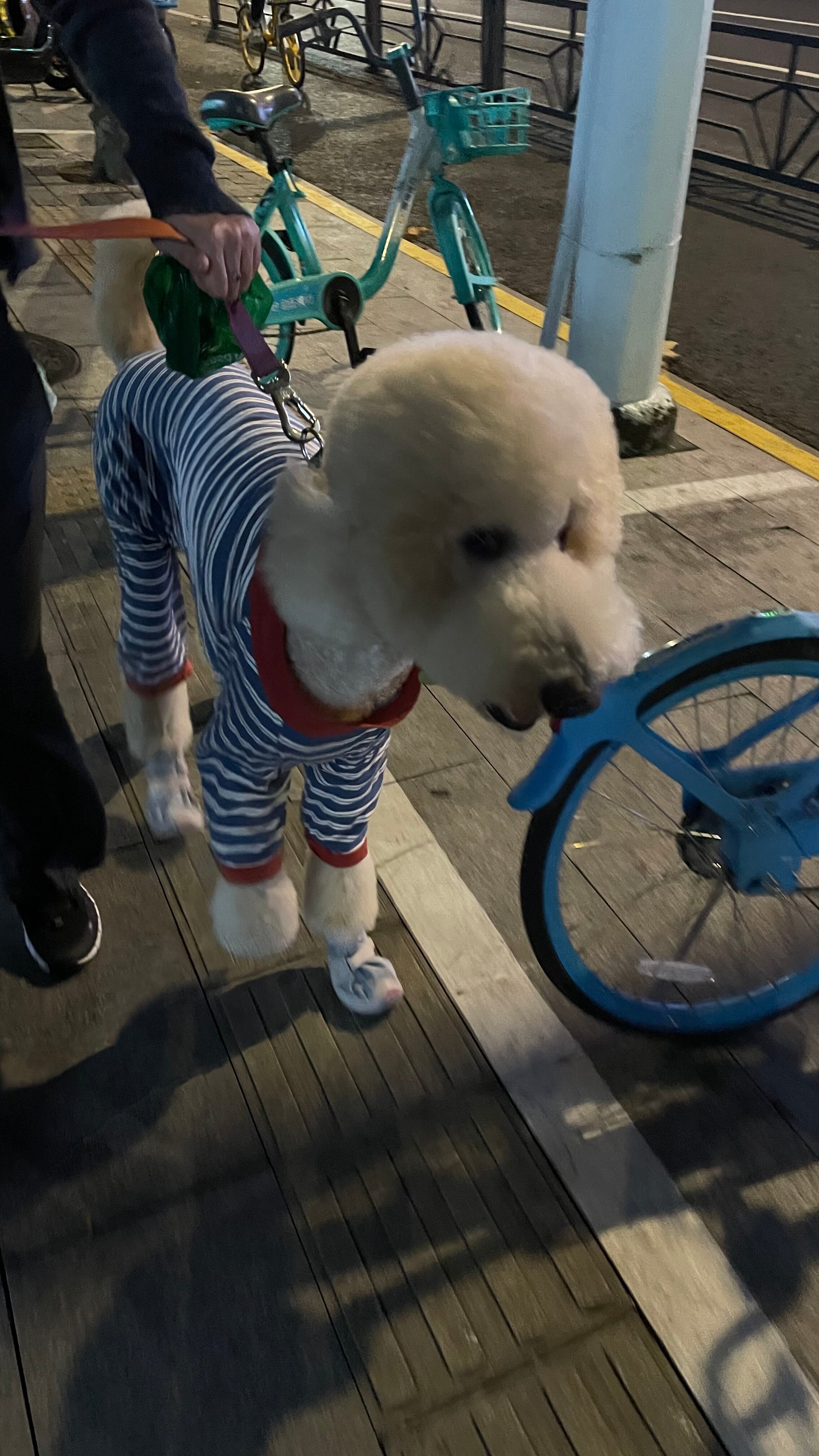 Фото Holiday Inn Express Shanghai Putuo, an Ihg Hotel