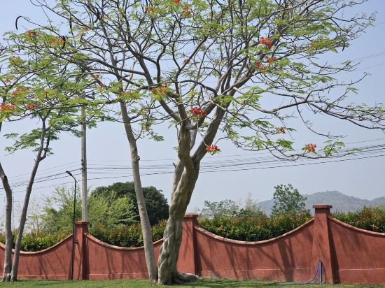 Фото Baan Mesuk SPA & Resort Hua-Hin