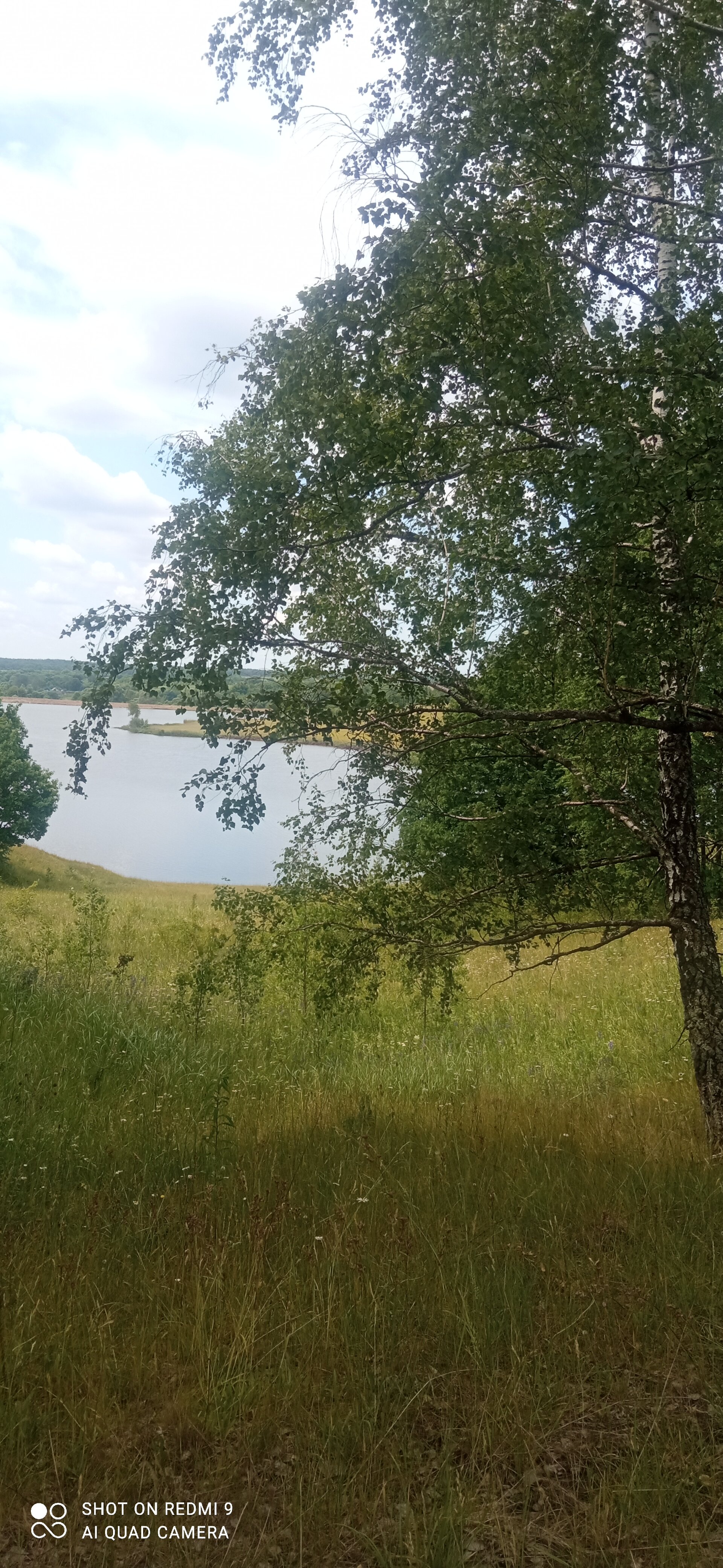 Фото Домики Бородино