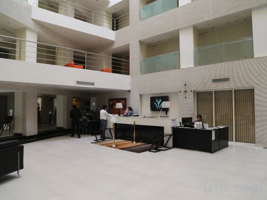 Фото Avalon Courtyard