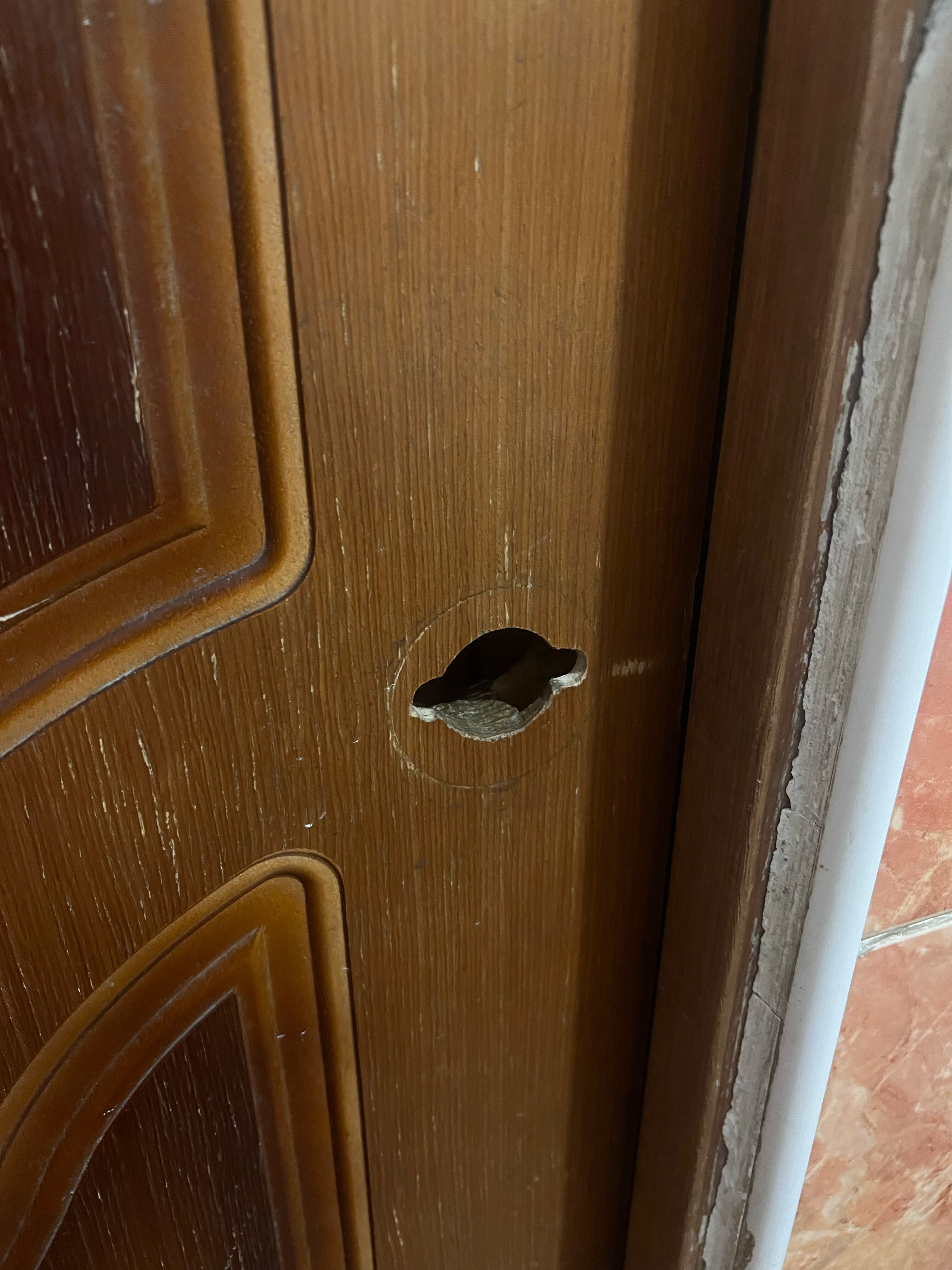 Фото Глория