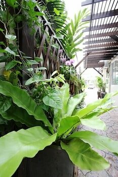 Фото Chaba Place