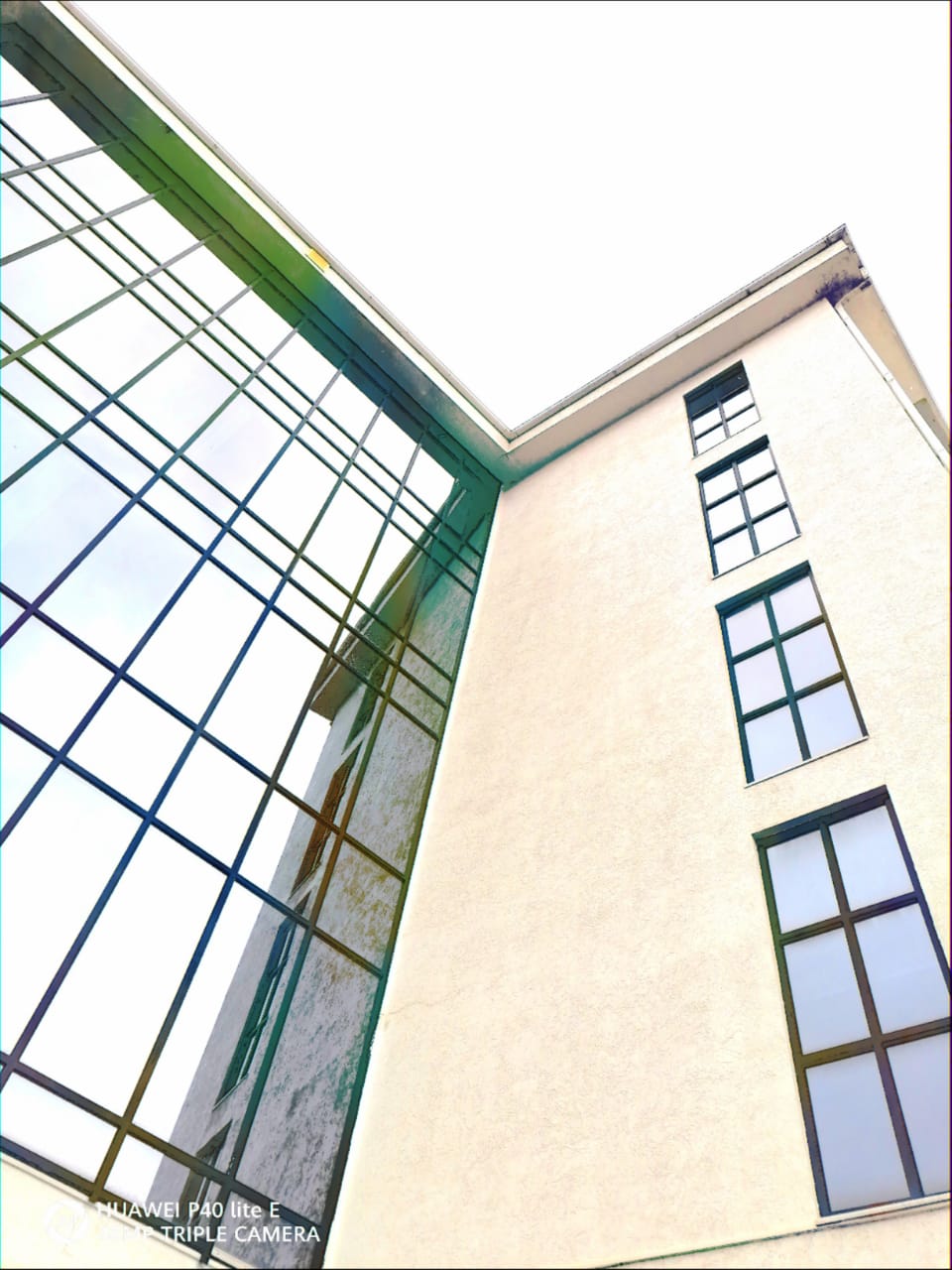 Фото Аквариум