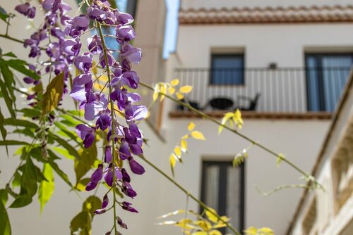 Внешний вид отеля Hotel Sa Voga в Ареньс-де-Маре, фото 4