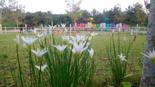 Гостиница Rai Phurak Resort в Провинции Ратчабури