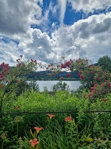 Гостиница Le Manoir au Lac в Сене-Дье-де-Во