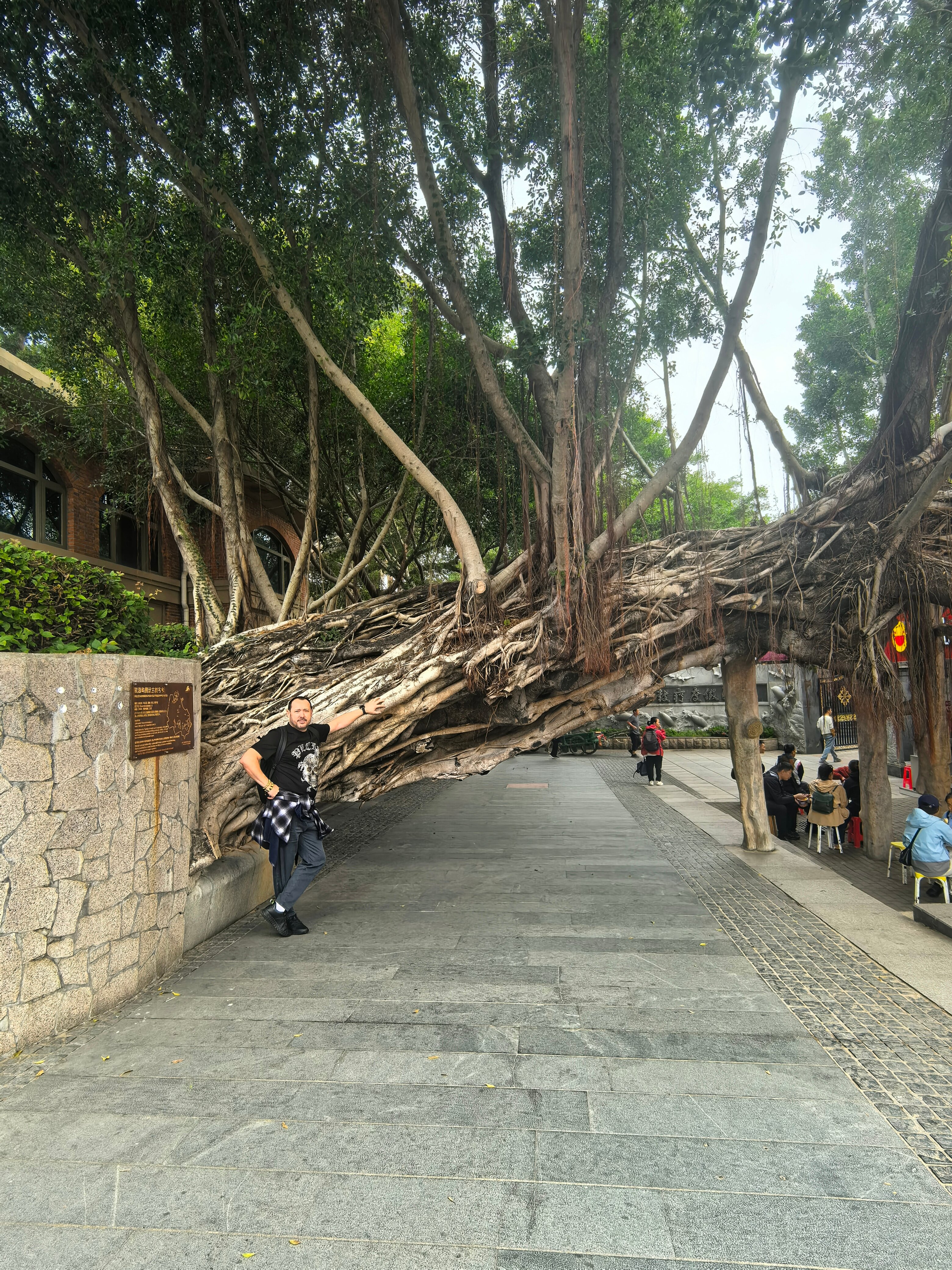 Фото Beijing Xinqiao Hotel