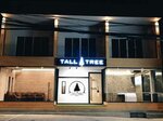 Tall Tree Kata Phuket