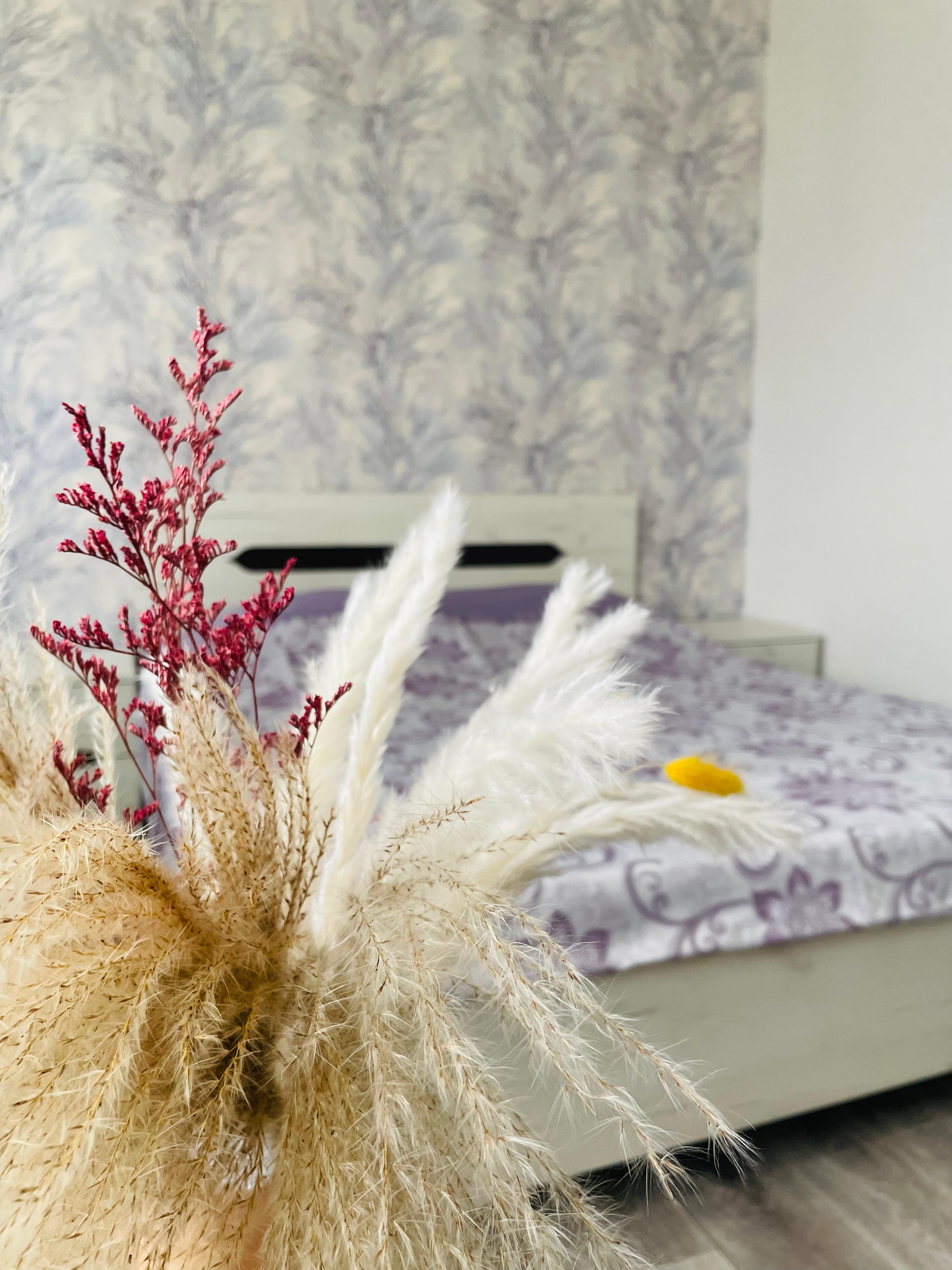 Фото Альбатрос