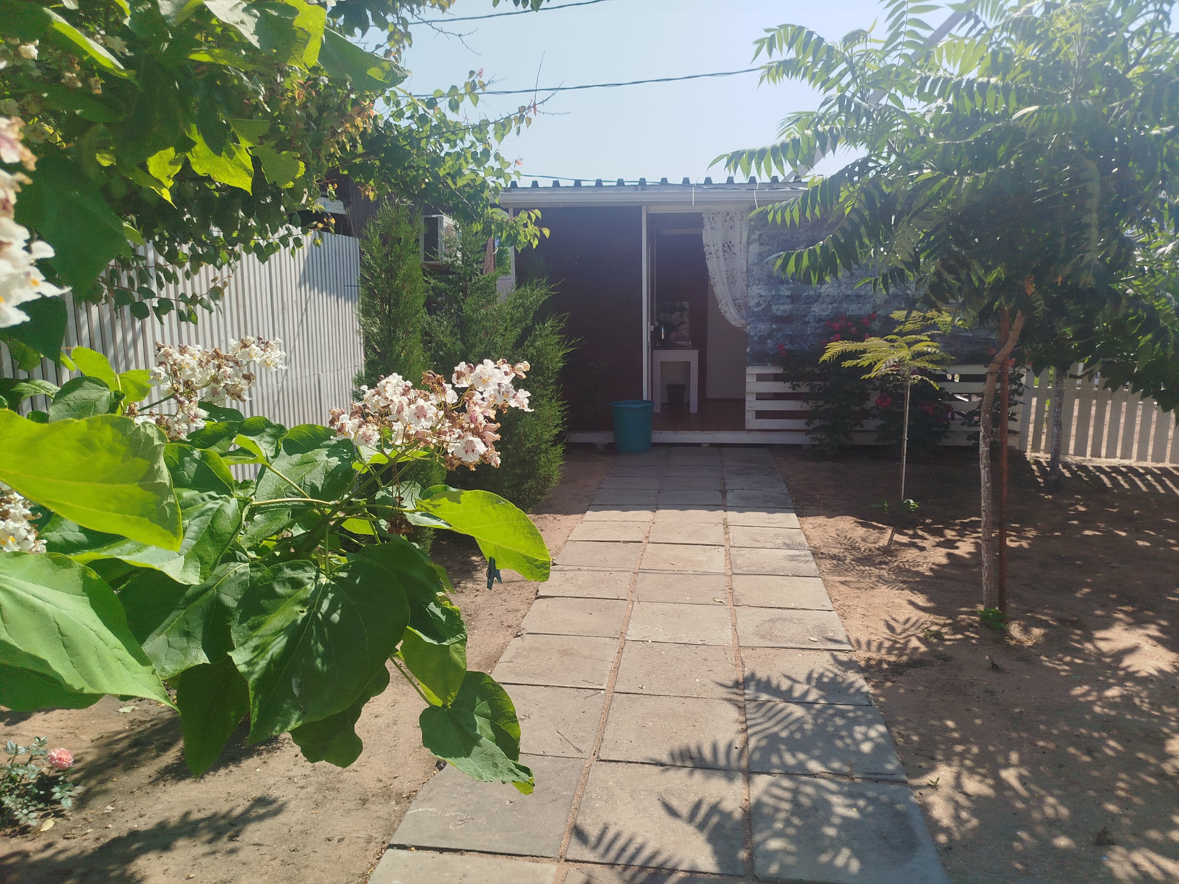 Фото Владилена