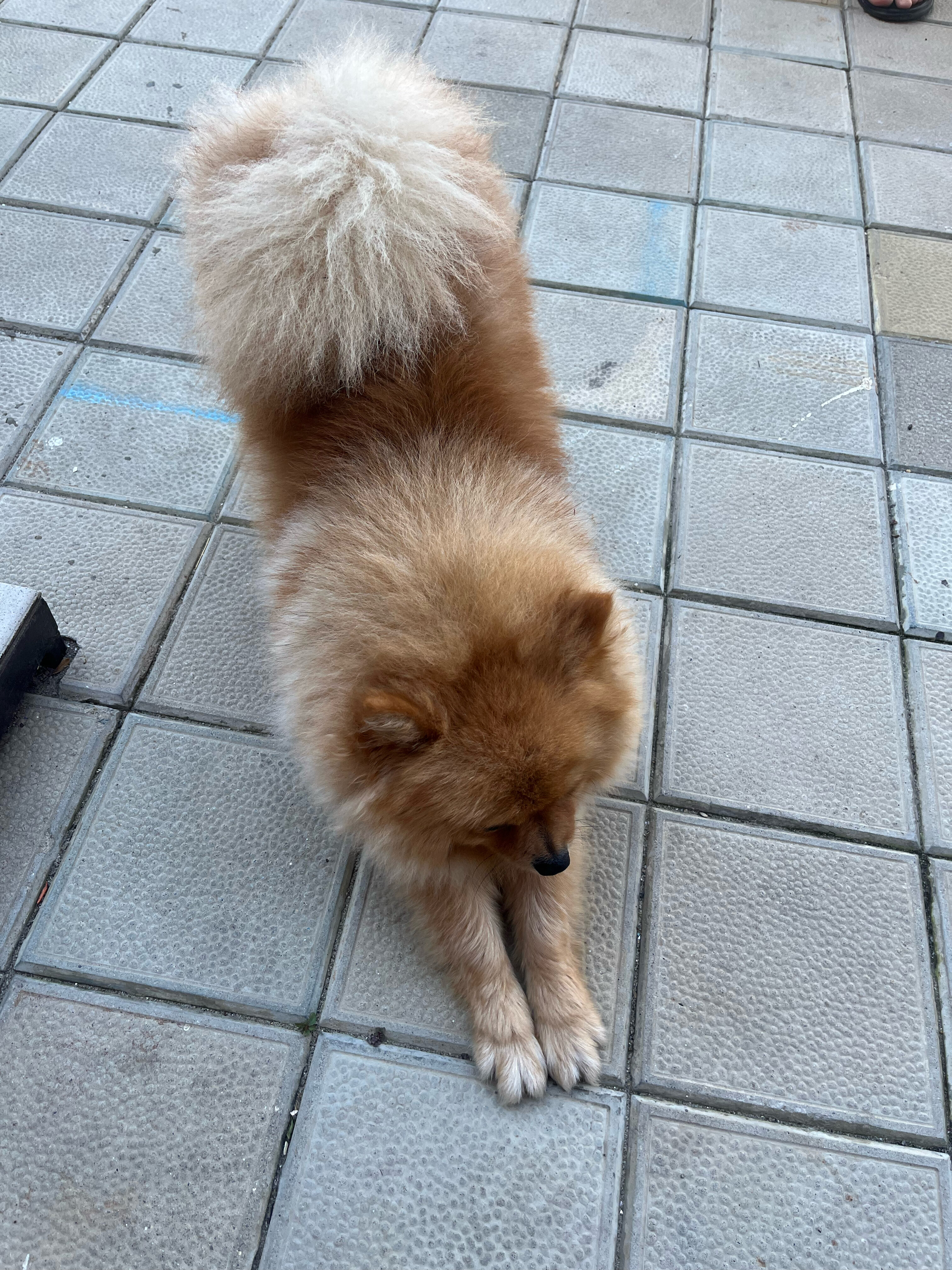 Фото Солнце