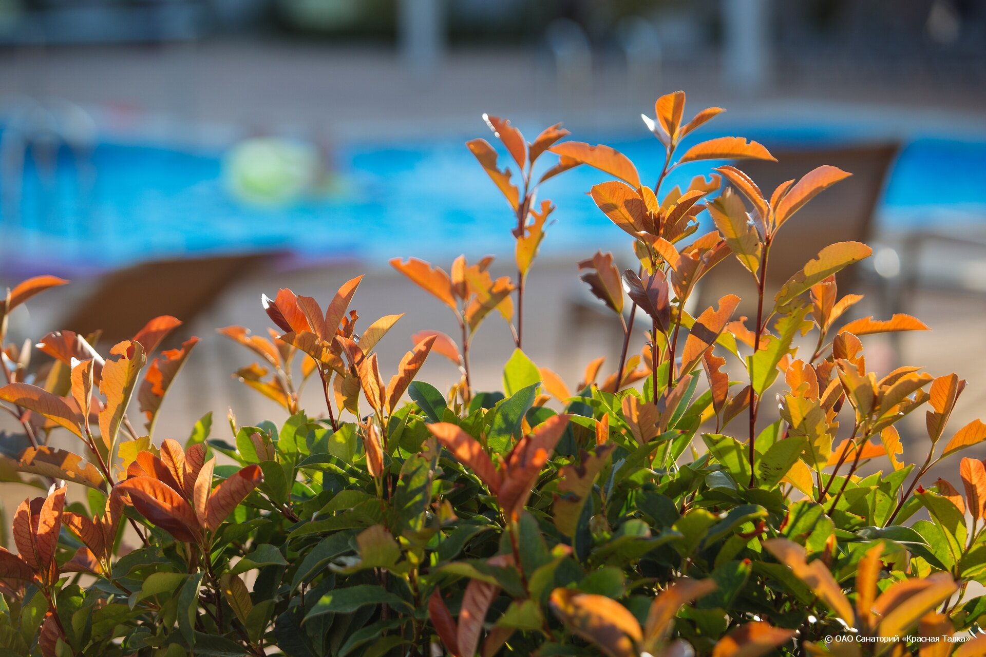 Фото Талка Анапа