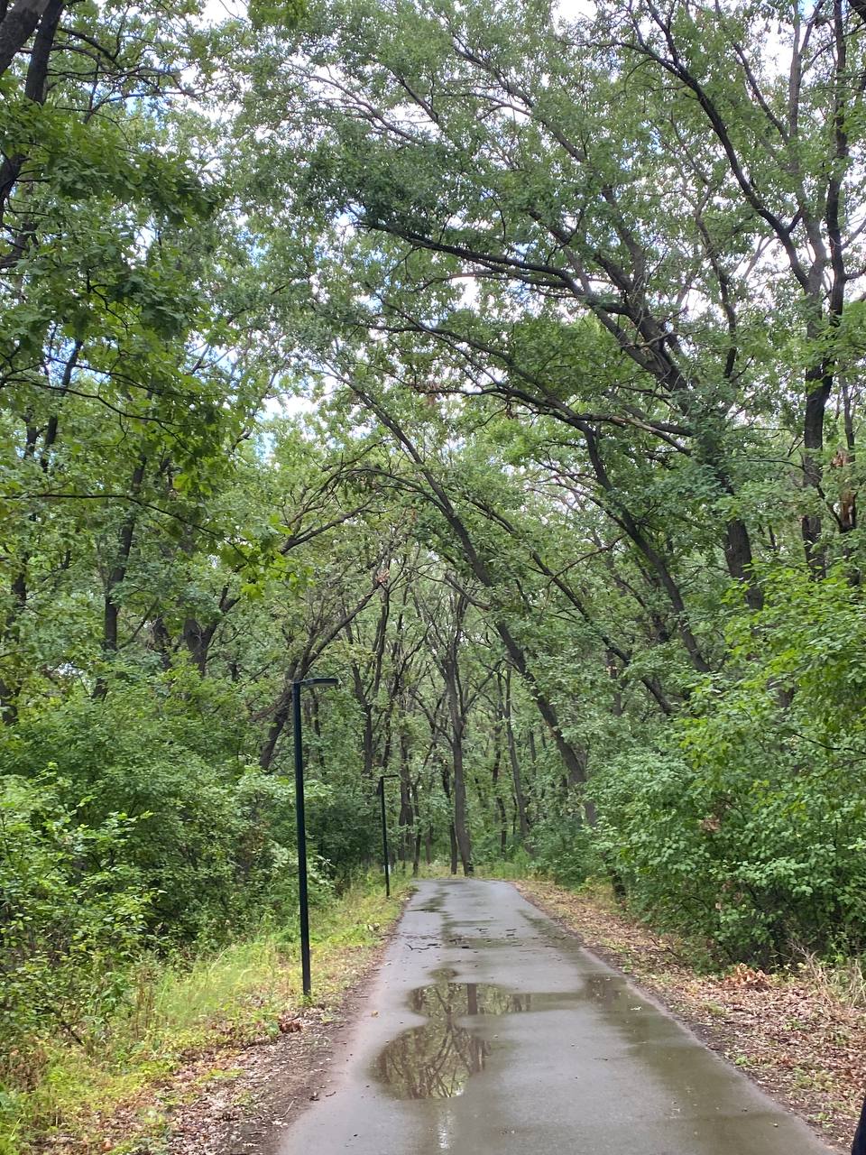 Фото Дубровский