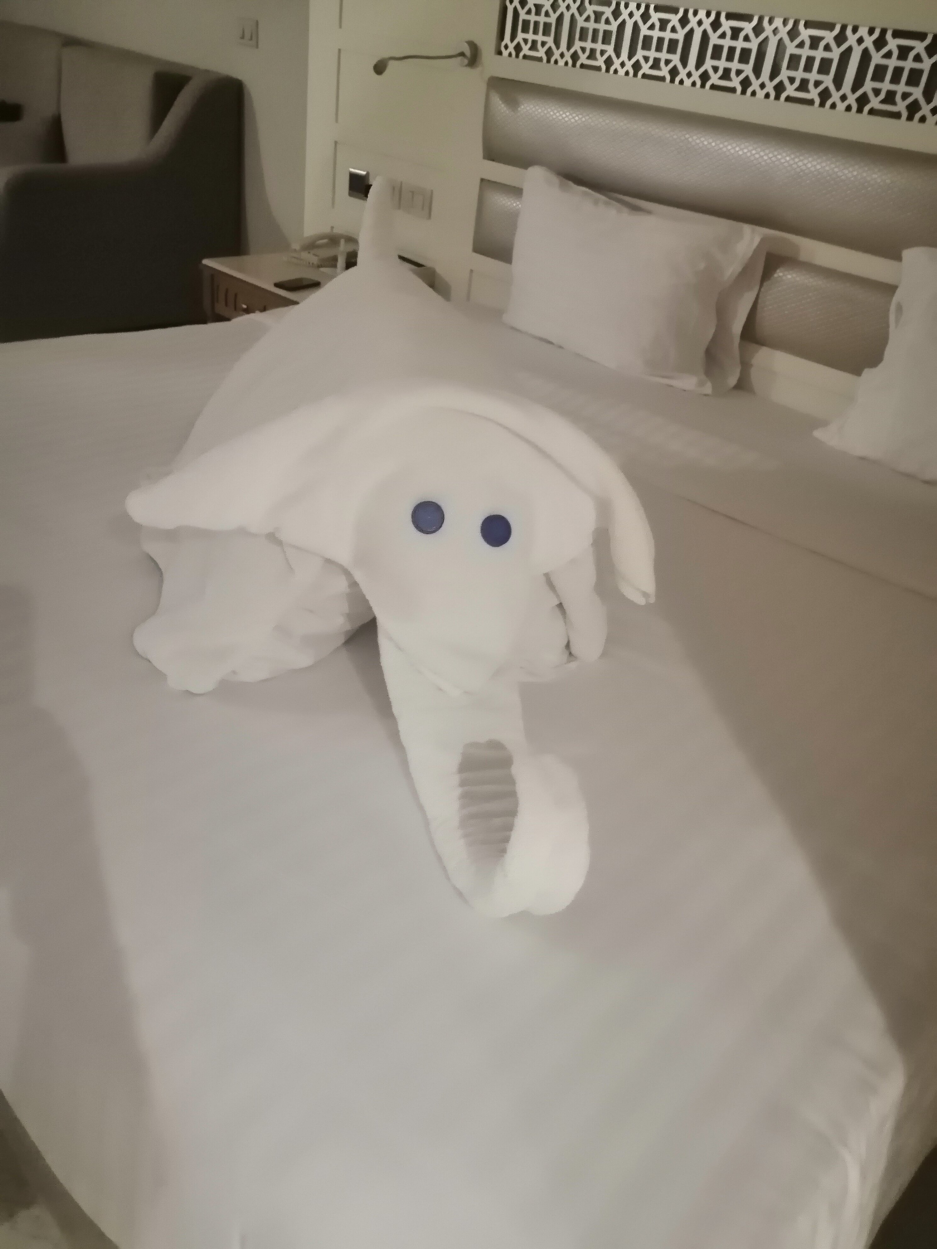 Фото Sunrise Arabian Beach Resort - Posh Club