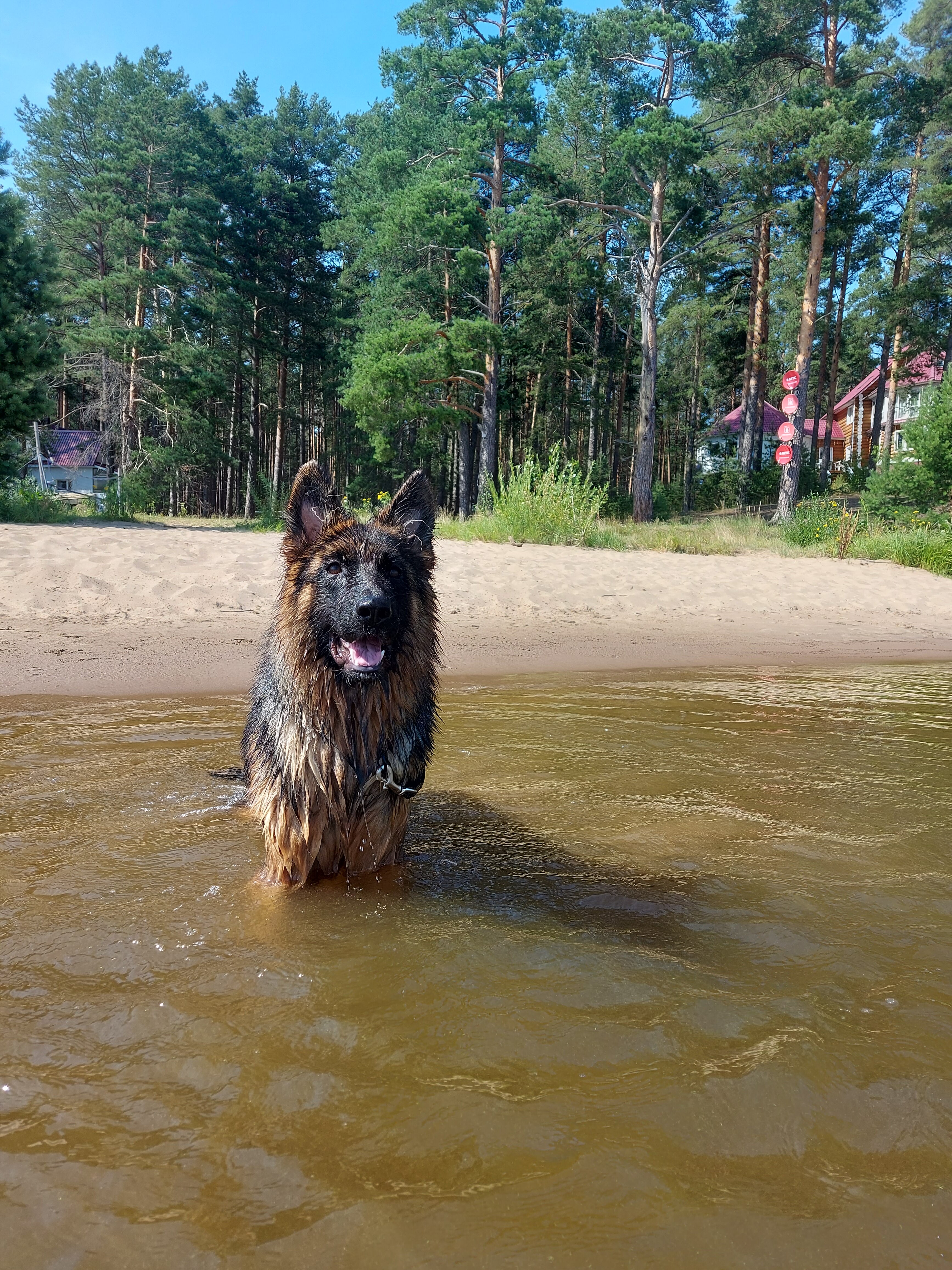 Фото Дивная усадьба