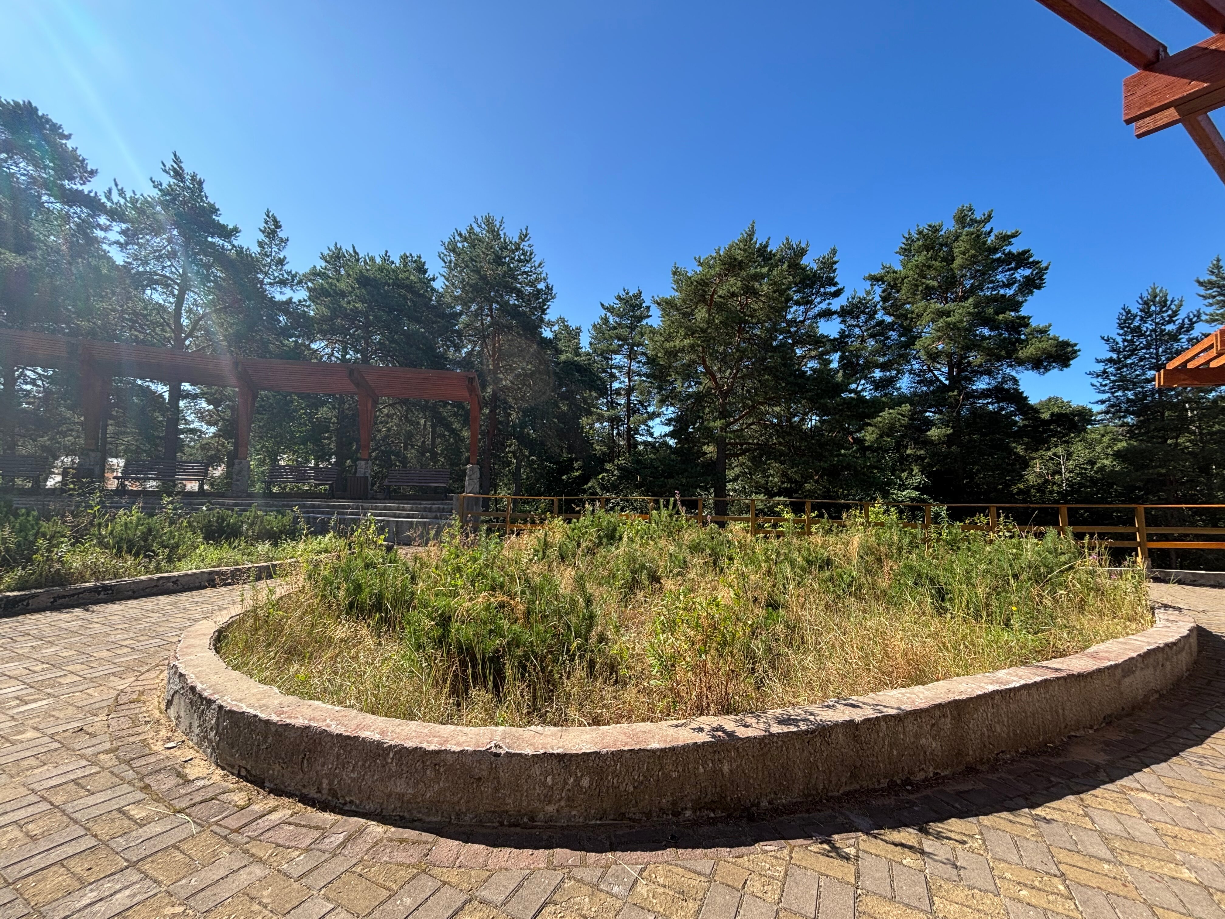 Фото Черничный Берег