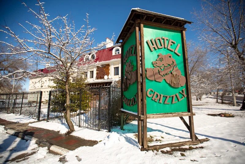 Фото Гризли