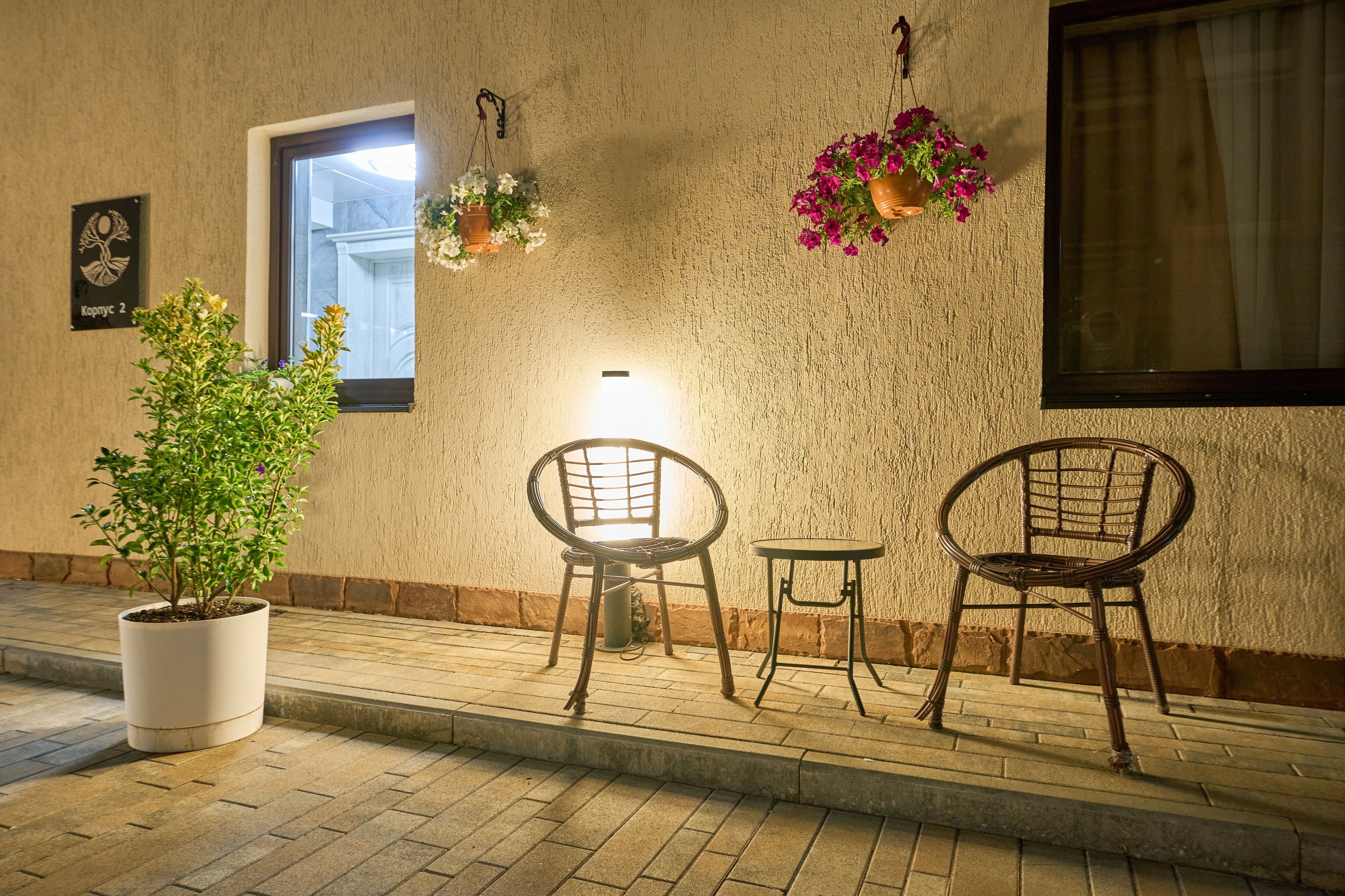 Фото Astra de Rosa