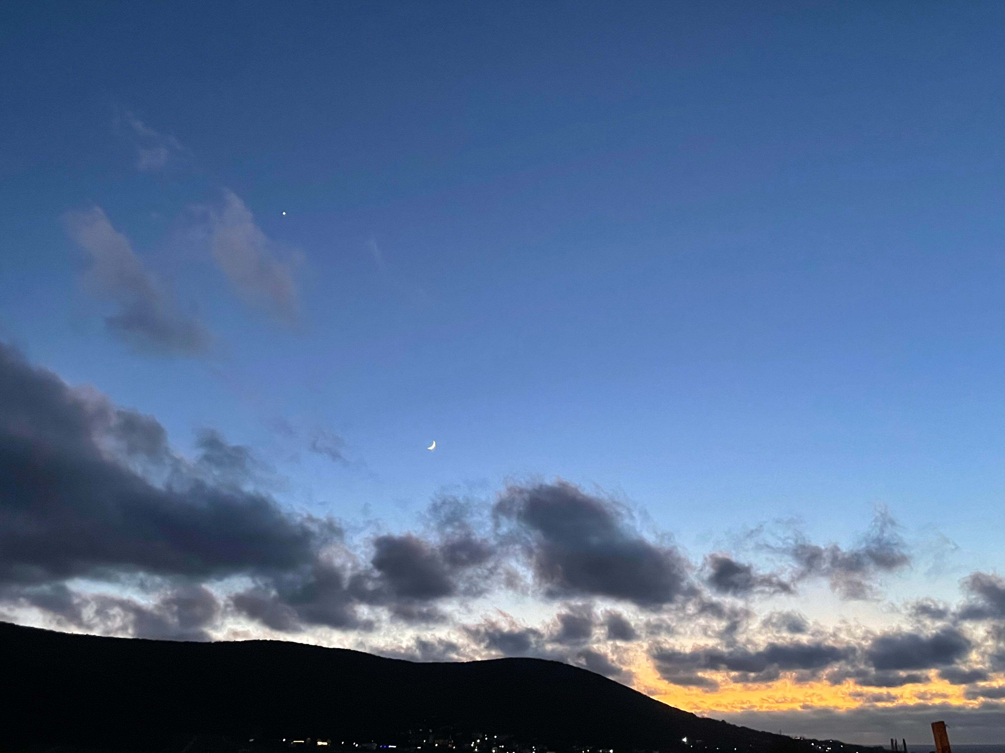 Фото Море и Пальмы